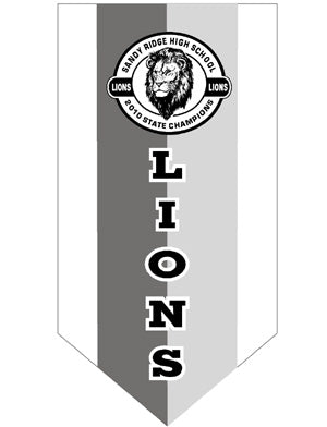 3' x 5' Championship Banner