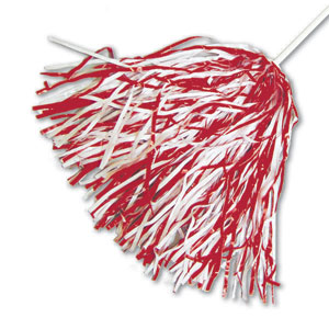 stock shaker poms