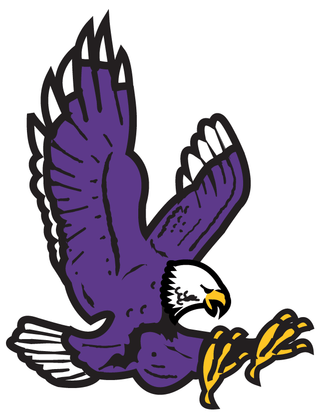 Purple Hawk Temporary Tattoo