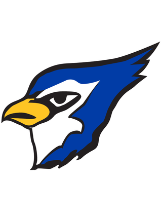 Blue Jay Temporary Tattoo