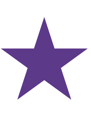 Purple Star Temporary Tattoo