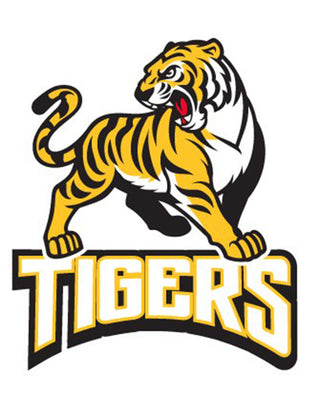 Gold Tigers Temporary Tattoo