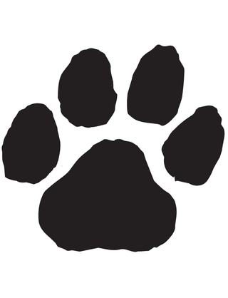 Black Paw Print Temporary Tattoo