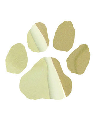 Gold Paw Print Metallic Foil Temporary Tattoo