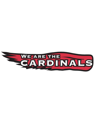 We Are The Cardinals Spirit Strip Temporary Tattoo