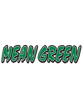 Mean Green Spirit Strip Temporary Tattoo