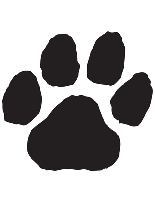 Black Paw Print Waterless Tattoo