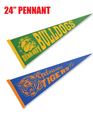Printed 9" x 24" Pennant