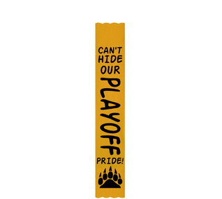 Preview of Custom Satin 3" x 16" Super Ribbon