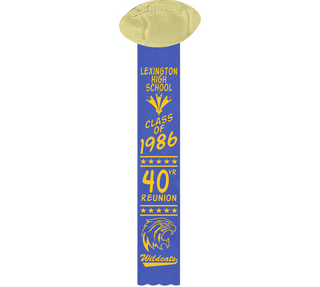 Preview of Custom Satin 2" x 10" Game Ribbon