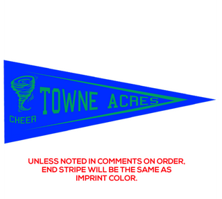 Preview of Custom Printed 5" x 12" Pennant