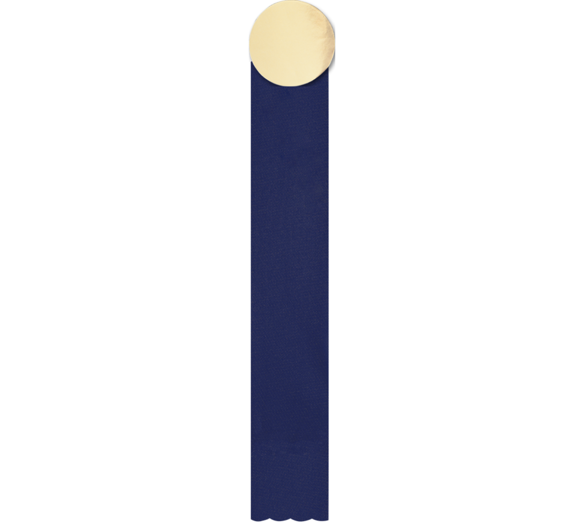 Custom Satin Recognition Ribbon - Boosters Incorporated